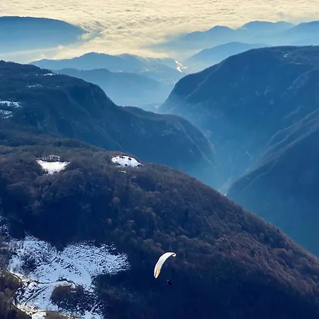 Rosa Friuli Appartement